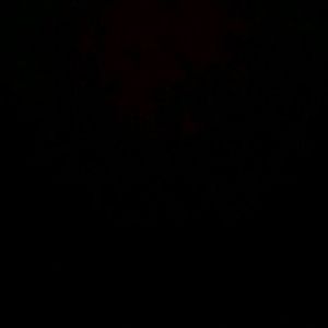 Meet your Posher, Lester